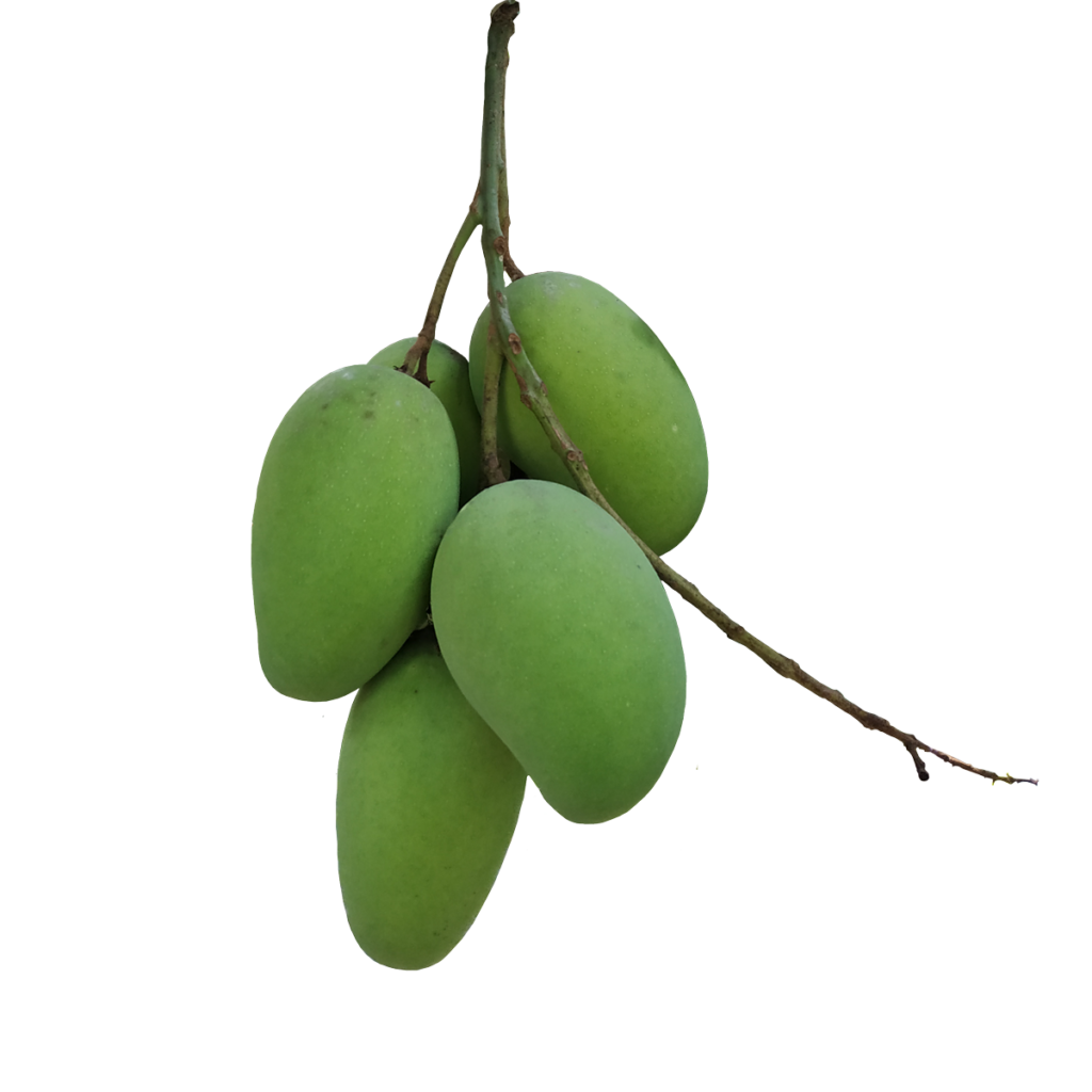 হিমসাগর আম