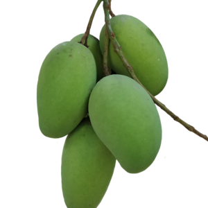 হিমসাগর আম